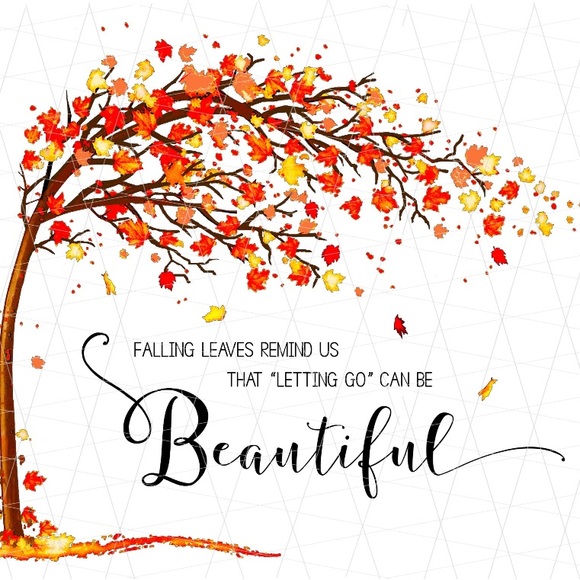 Meet your Posher, Lisa - Picture 4 of 7